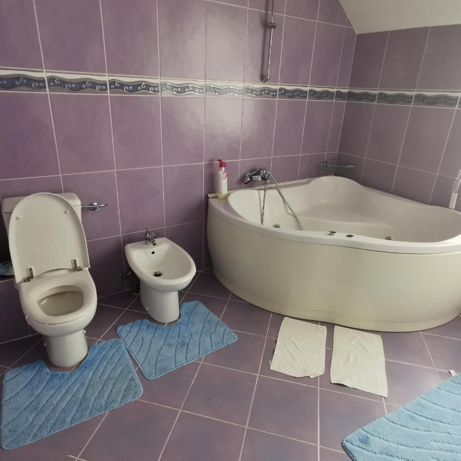 Vila Angela Felix Hotel Sînmartin Buitenkant foto